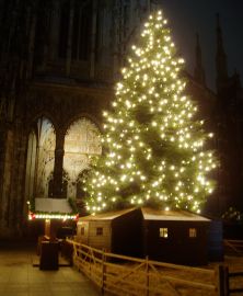 Weihnachtsbaum